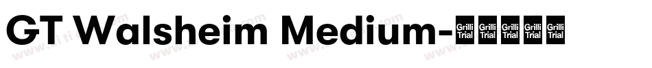 GT Walsheim Medium字体转换